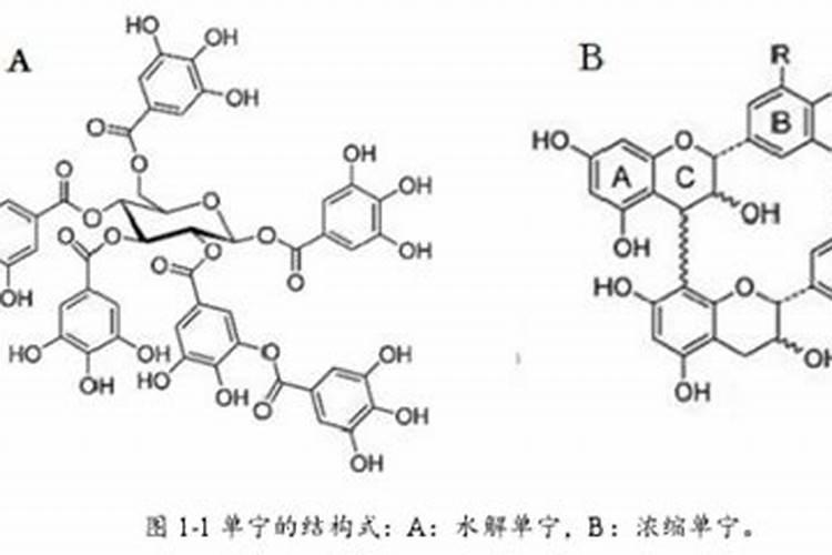 河南日正农业科技有限公司怎么样？