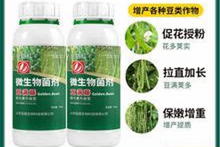 四季豆出苗后施什么肥