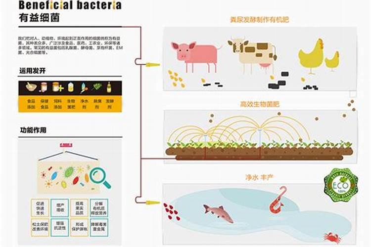 虾塘肥水用红糖一亩要多少,肥水可以用复合肥吗