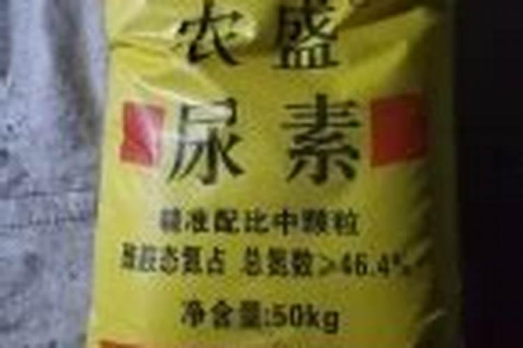 氢氧化铜为什么？溶于水
