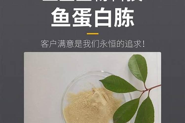 朝阳喀左玉米多少钱一斤？