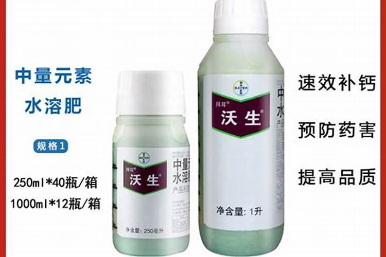 百香果适合北方种植吗