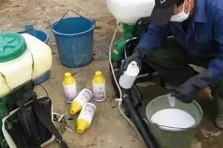 梨树花前钾肥加硼能和毒死蜱一起用吗？