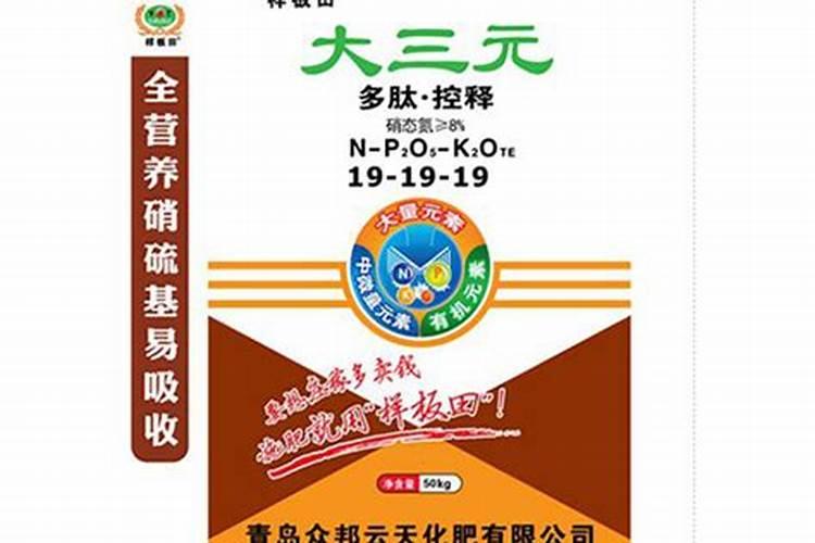 多肽新主食有哪些作用呢？