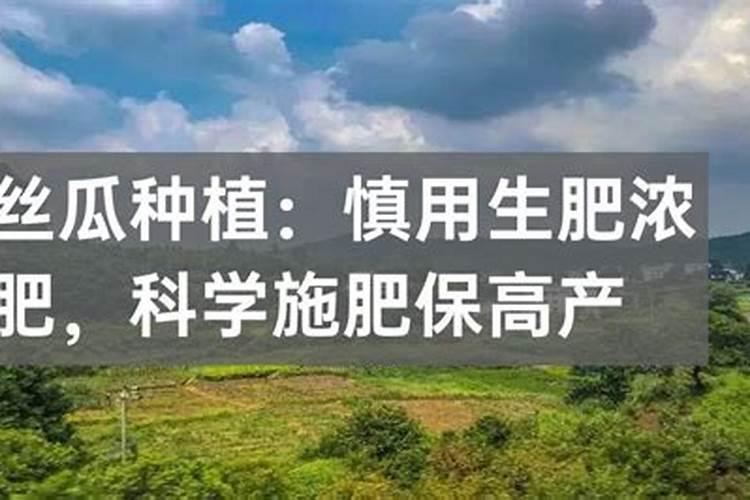 硫酸钾肥的正确使用方法