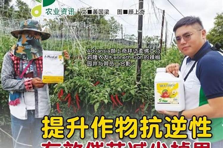 在水田淹水的这个时期,哪种氮肥是不应该施用的