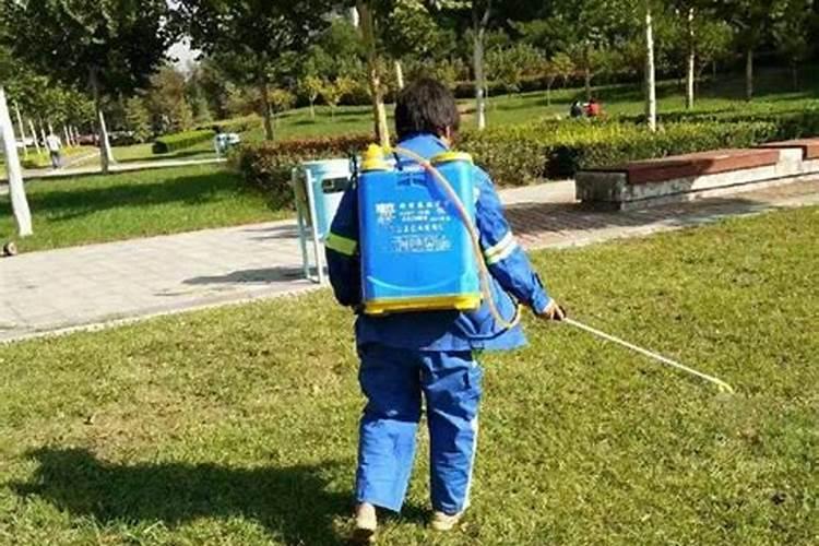 芸乐收到底效果怎么样？