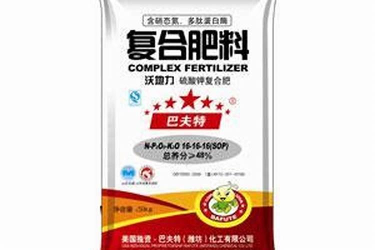 柑橘座果率低是怎么回事呢？应该怎么预防呢？