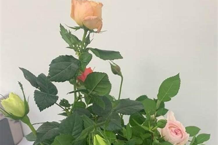 磷肥和钙肥能一起用吗 磷肥是酸性还是碱性的