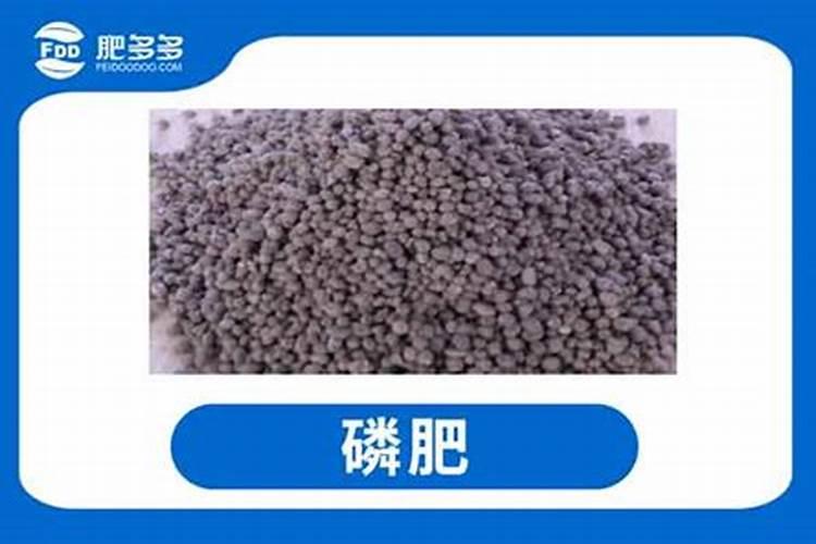 烂葡萄可以做肥料吗 坏了的葡萄做花肥方法