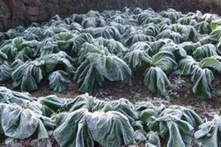 必看 天气变冷,防冻液需注意的事项!