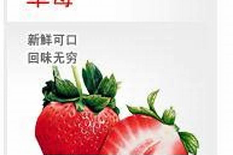 五味子野生苗移栽方法 五味子野生苗怎样移栽