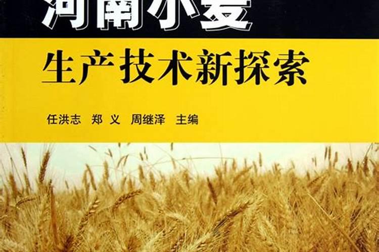 春季小麦施什么肥合适(开春小麦主要上什么肥料为主)