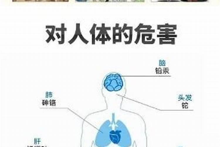 钙镁肥对植物的作用