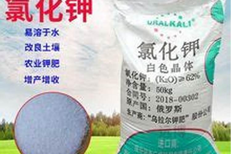 水稻什么时候用芸苔素好 使用方法及技巧
