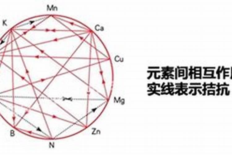 西红柿炖鱼怎么做好吃