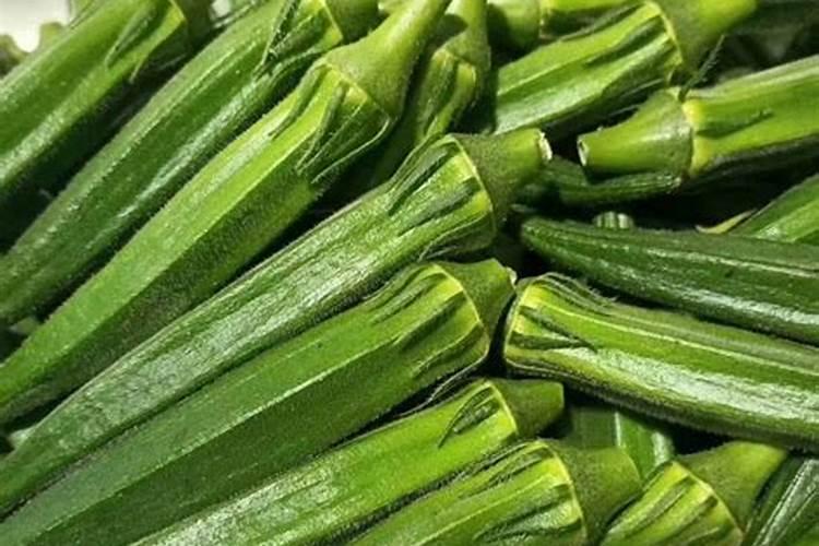 油茶施肥最佳时间 油茶采摘后什么时候最佳施肥