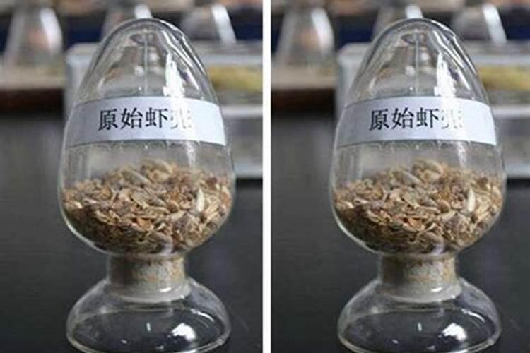 天竺葵怎么养护花开不断