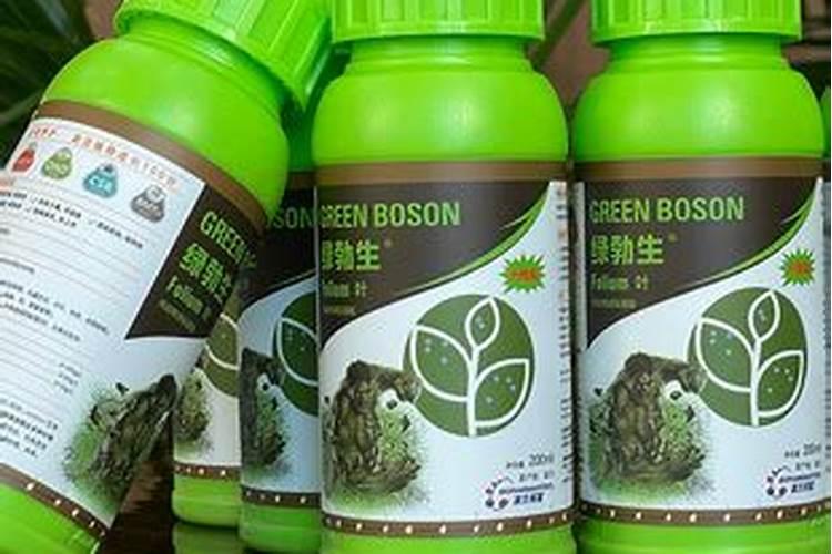 我家绿萝没有买的时候茂盛了,黄叶较多,该施什么肥料？