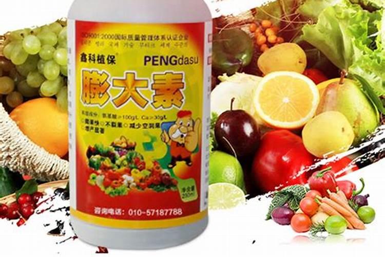 膨果最快最佳配方