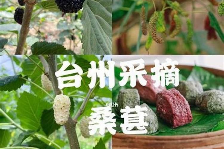 施用氮肥的方法