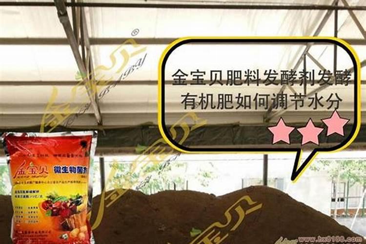 烂蘑菇可以当花肥吗