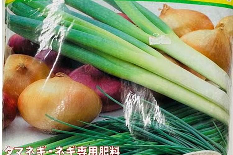大葱追肥用什么肥料好