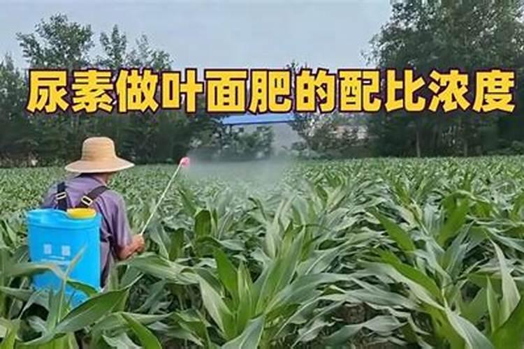 叶面肥复硝酚钠与尿素配比,叶面肥复硝酚钠有什么作用