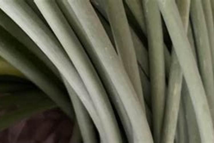 蒜苔抽后还能施肥吗？