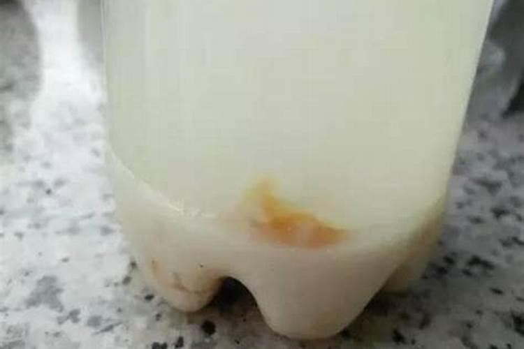 种香蕉施什么肥