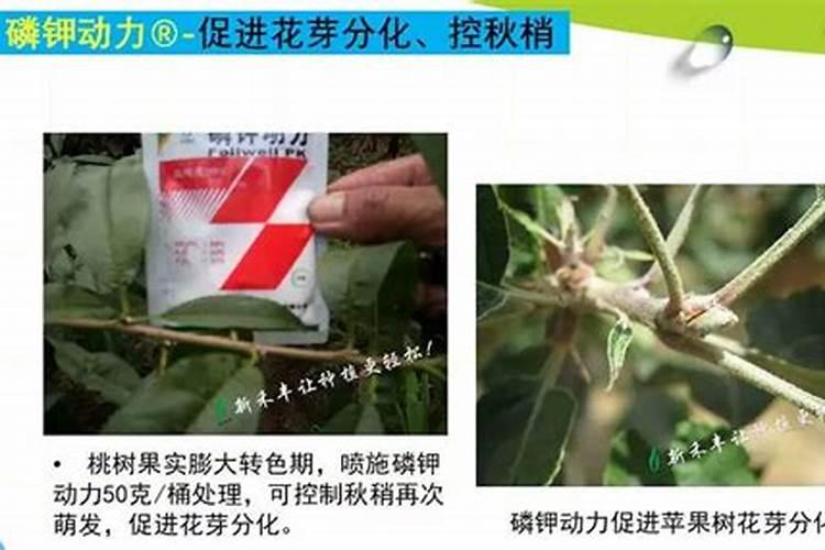 磷钾动力花生田施用方法