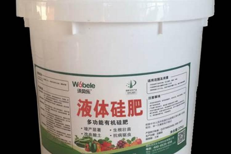 爱媛38号优缺点