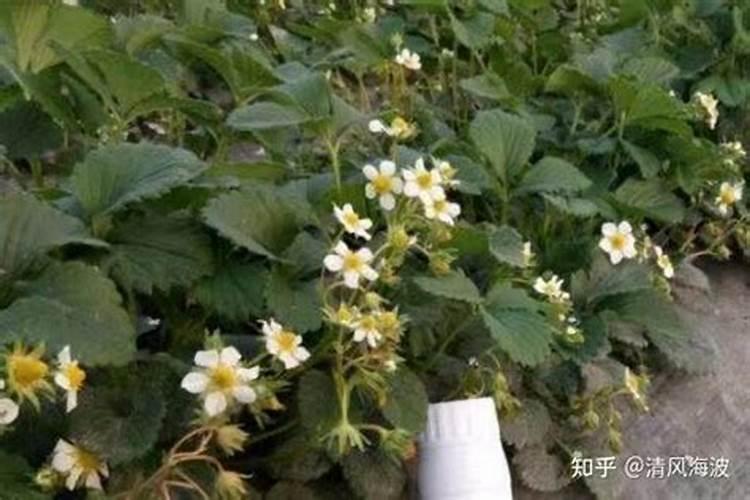 《生物工程》这本书的阅读收获