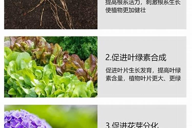 无糖食品为什么是甜的,无糖食品真的无糖吗
