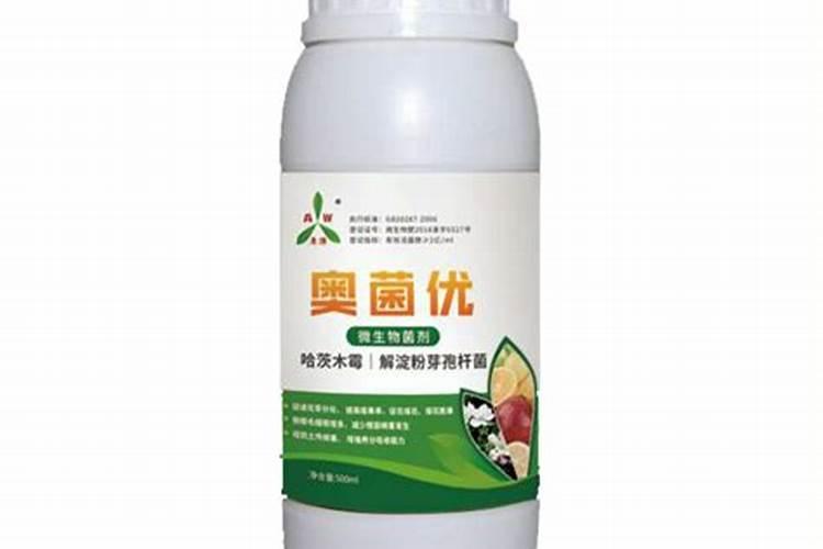 矫治枇杷树缺锌的主要措施是什么？