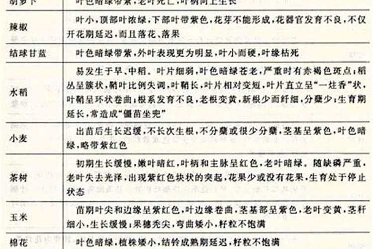 小麦打好二遍药的最佳日期 小麦上午打药好还是下午