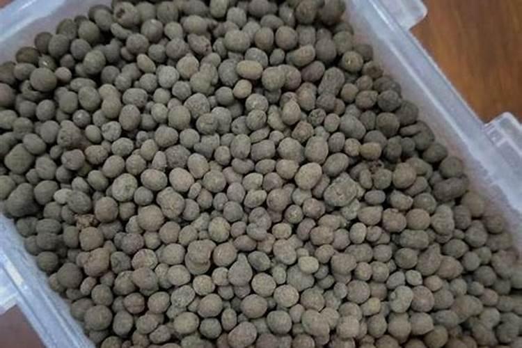 为什么开花要用磷肥