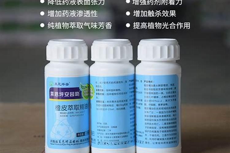 盆景黄杨家里养殖方法