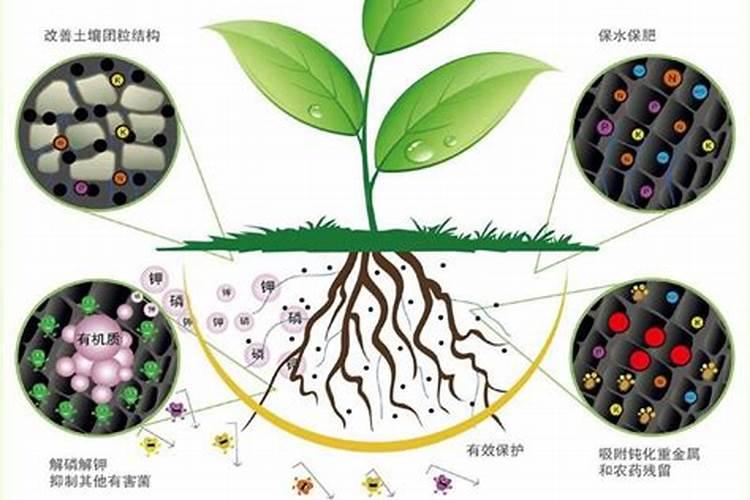 生物菌肥对作物和土壤有哪些好处
