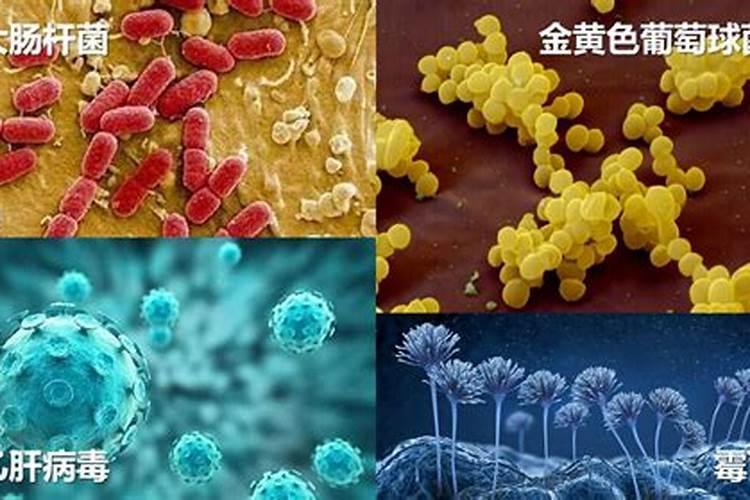 什么是生物菌肥有什么作用