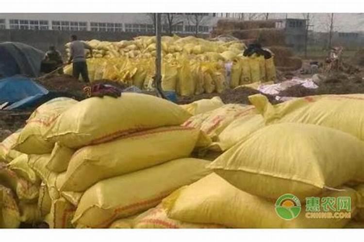 栀子花怎么施肥 用什么肥料好