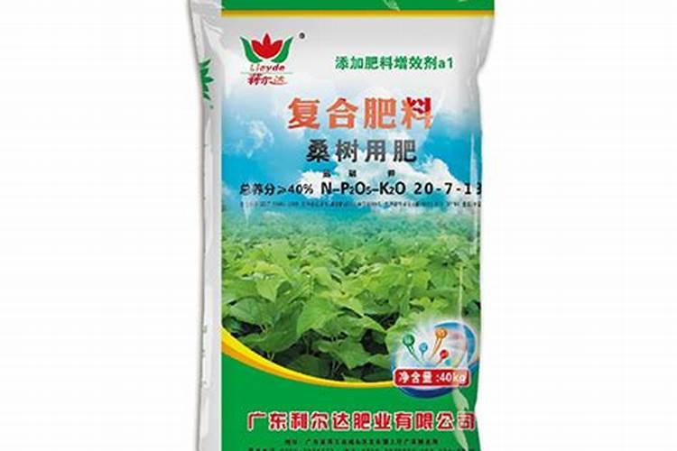 旱育秧苗床培肥的技术要点是什么？