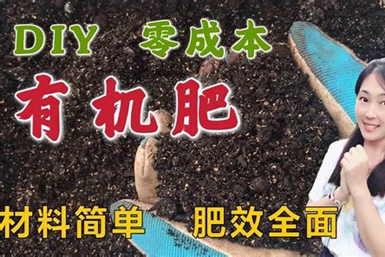 水稻种植如何合理施用钾肥呢？