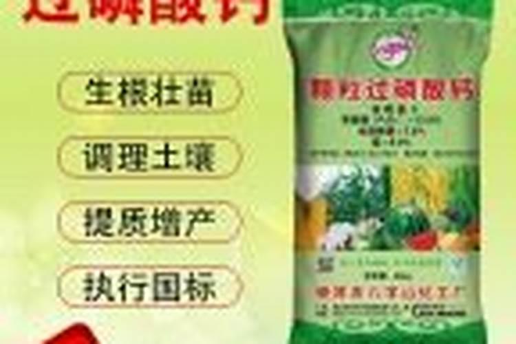 虾饲料和鱼饲料一样吗