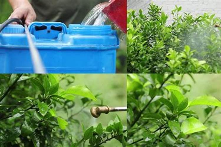 磷酸二氢钾和螯合微量元素和芸苔素混用吗？