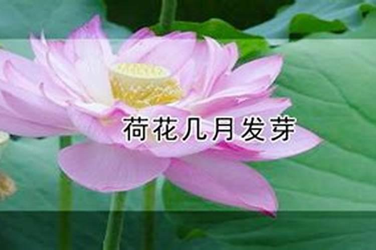 6月份哪个城市气温最好,6月最美的旅游景点