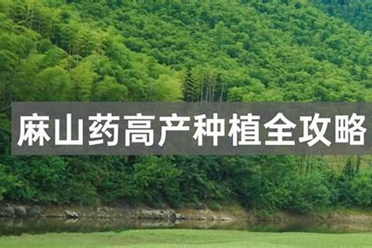 追肥是满足红蒜的生长,红蒜追肥有什么好的方法？