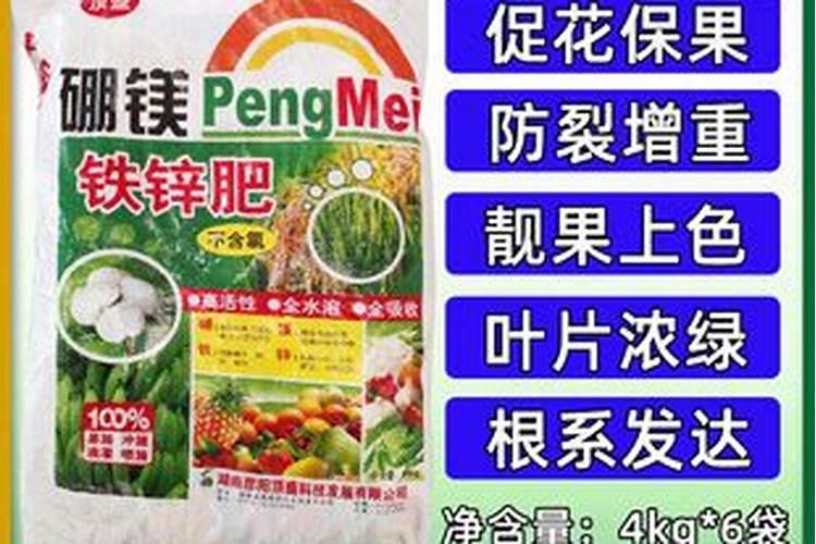 慧兰、剑兰、香兰等兰花能使用君子兰肥吗？