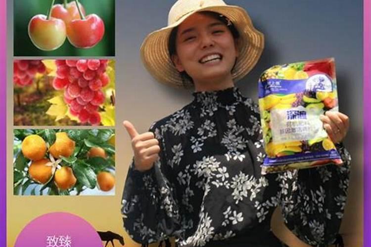 国内生化黄腐酸钾生产厂家
