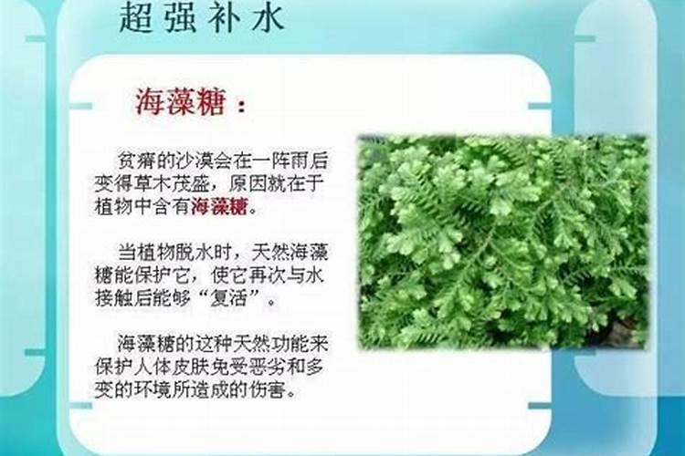 草莓定植后如何养根、护根、防根腐？